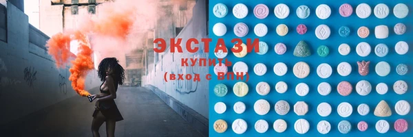 ECSTASY Ельня